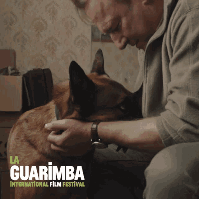 a poster for the guarimba international film festival shows a man grooming a dog