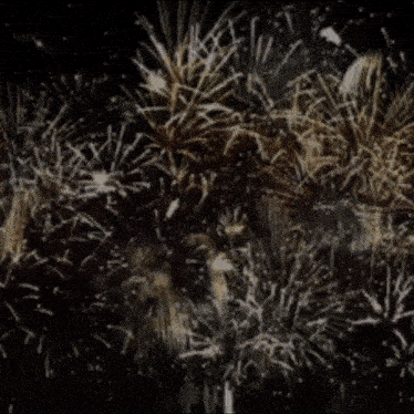 a fireworks display with the word ' pro ' on it