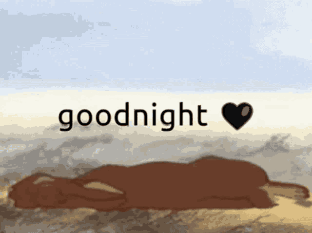 a picture of a lion laying down with the words goodnight above it