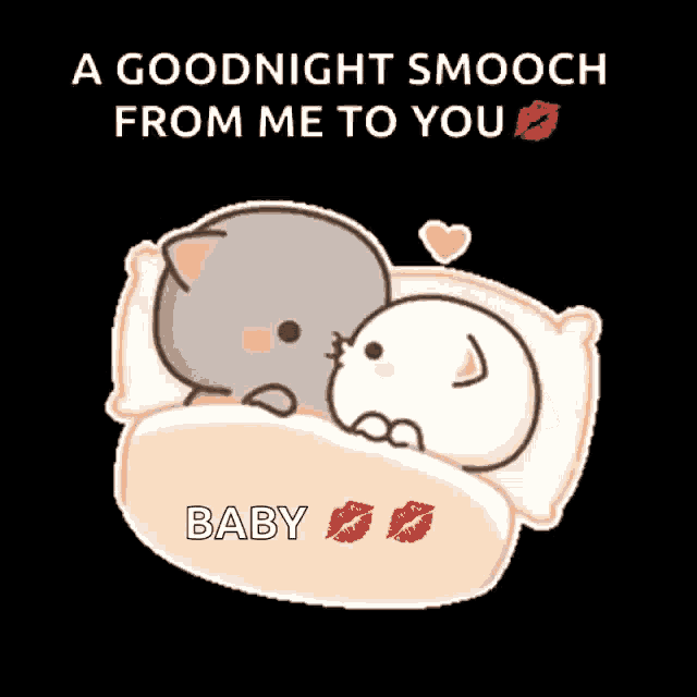 a goodnight smooch from me to you baby with two cats kissing