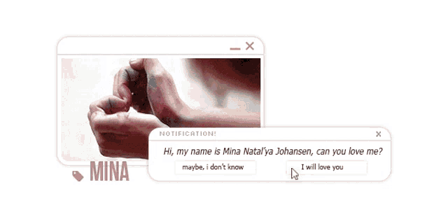 a computer screen with a notification for mina