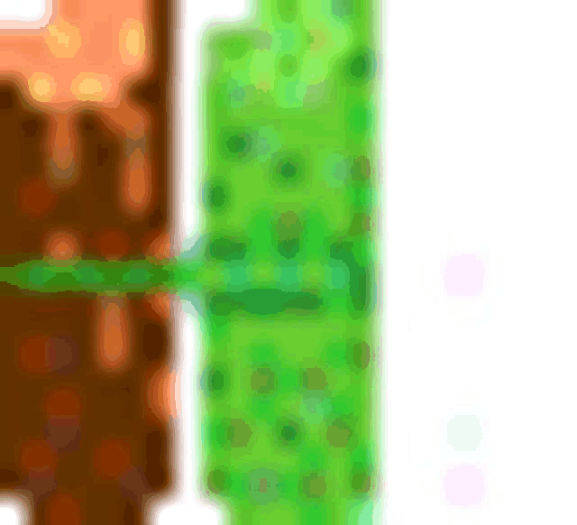 a pixel art drawing of a tree and a cactus