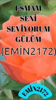 a picture of an orange rose with the words " esmam seni seviyorum gulum " on it