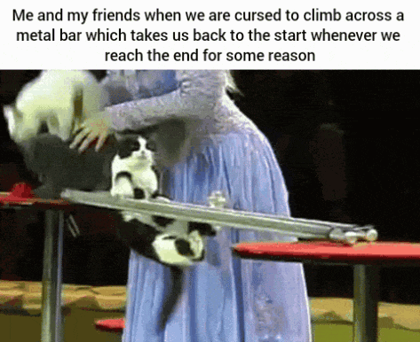 a woman in a blue dress holds a cat on a metal bar