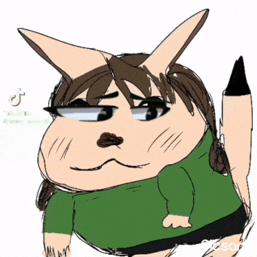 a drawing of a cat wearing a green shirt and black shorts