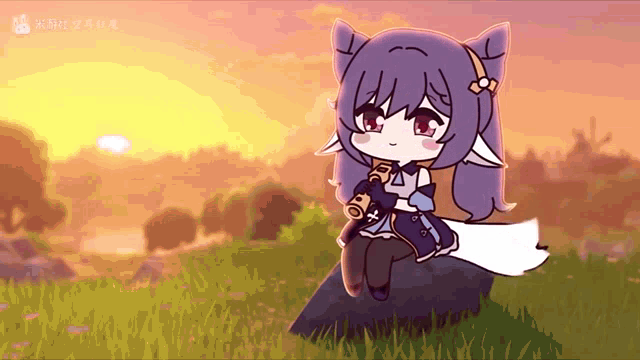 a girl with purple hair is sitting on a rock in the grass
