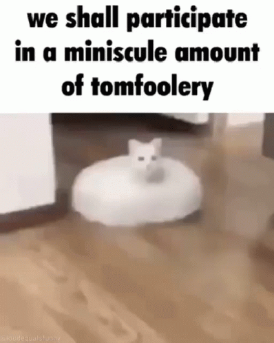 Tomfoolery Cat GIF - Tomfoolery Cat Vacuum GIFs