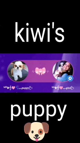 a kiwi 's puppy advertisement with a picture of a dog