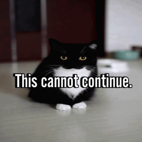 This Cannot Continue Infisrael Cat GIF - This Cannot Continue Infisrael Cat Cat GIFs