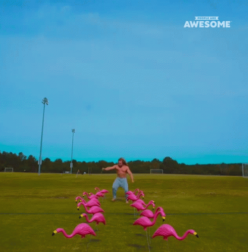 Kicking Flamigoes People Are Awesome GIF - Kicking Flamigoes People Are Awesome Kicking GIFs