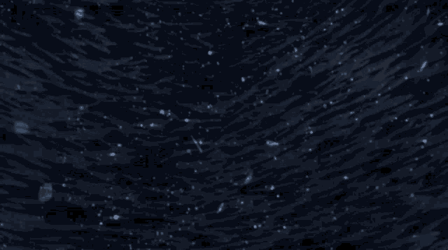 a couple of people are swimming in a dark water