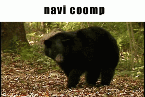 Coomplextual GIF - Coomplextual GIFs