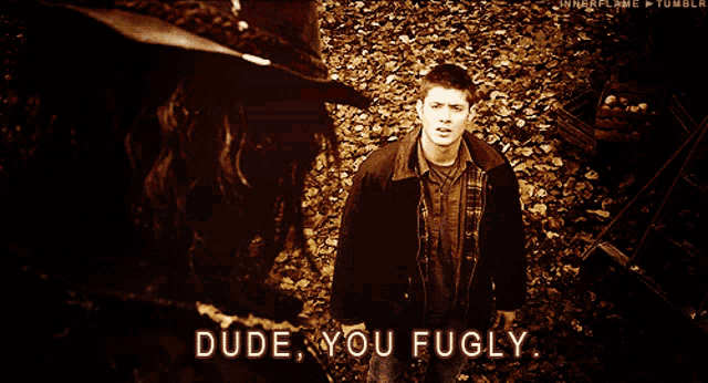 a man standing in a pile of leaves with the words dude you fugly on the bottom