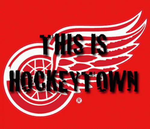 Detroit Red Wings Lets Go Red Wings GIF - Detroit Red Wings Lets Go Red Wings Red Wings GIFs