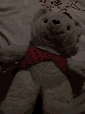 Teddy Bear Cute GIF - Teddy Bear Cute Lying Down GIFs