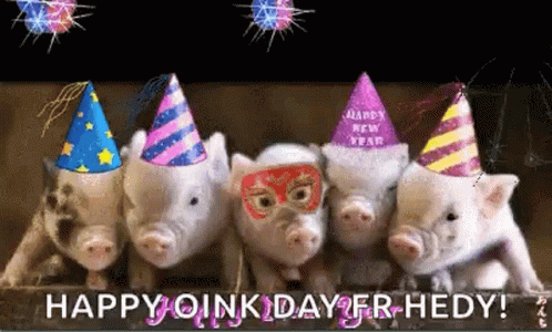 Year Of The Pig Chinese New Year GIF - Year Of The Pig Chinese New Year Happy New Year2019 GIFs