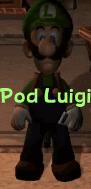a video game character named luigi is standing in a room