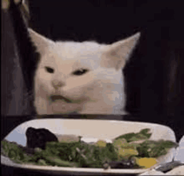 a cat is sitting at a table looking at a plate of food .