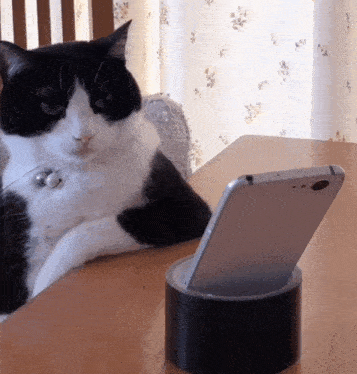 a black and white cat is sitting on a table next to a cell phone