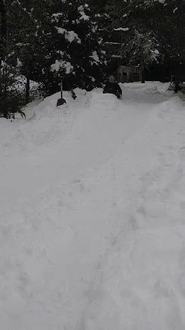 Sledding Snow GIF - Sledding Snow Crash GIFs