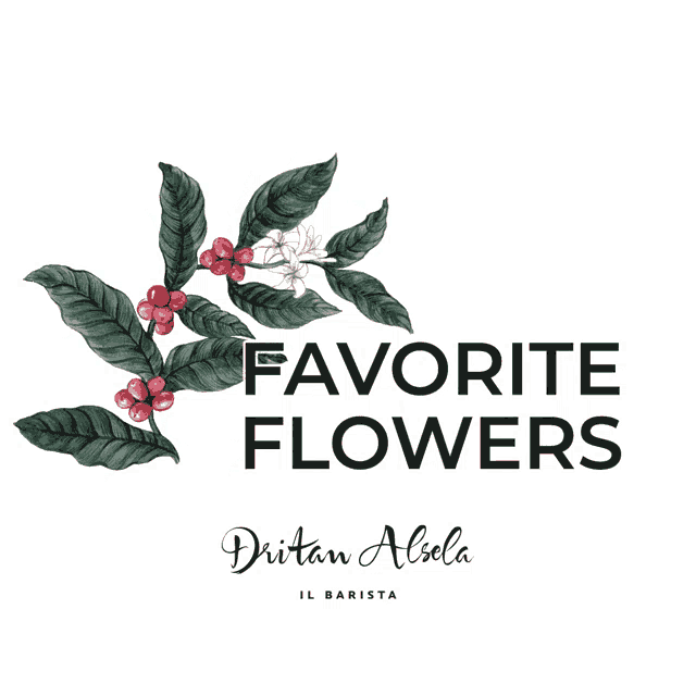 a logo for dirtan alsela il barista features a branch of flowers