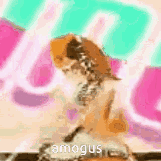 a picture of a cat wearing a cowboy hat with the word amogus written on it
