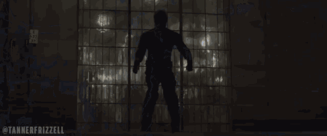a silhouette of a person holding a sword in front of a window with the hashtag tannerrealizzer on the bottom