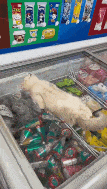 a cat is laying in an ice cream freezer filled with ice cream