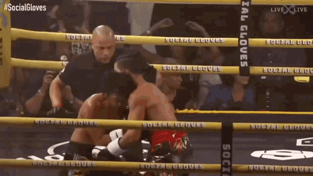 two boxers in a boxing ring with social gloves written on the ropes