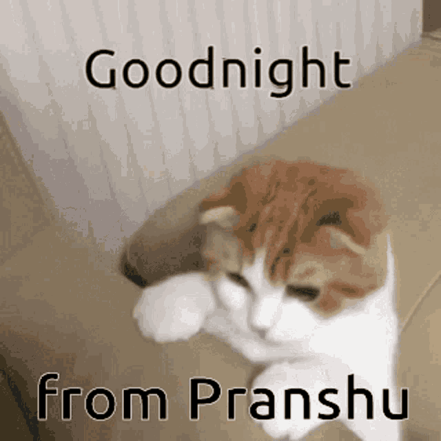 a cat laying on a couch with the words goodnight from pranshu written above it