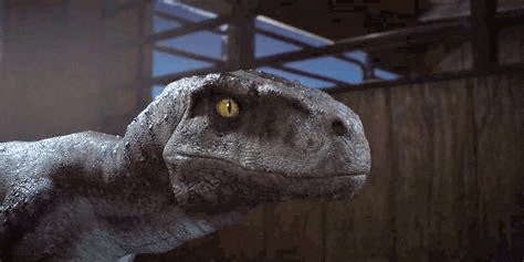 a close up of a dinosaur with yellow eyes standing in front of a building .