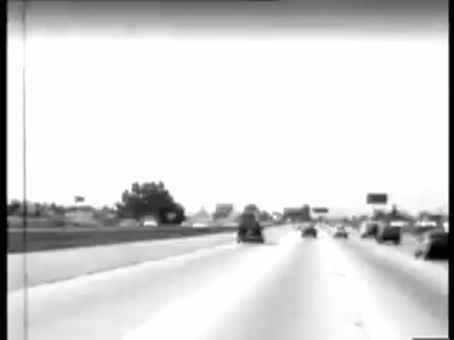 Freeway Oasis GIF