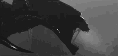 a black and white photo of a monster with its mouth open in the dark .