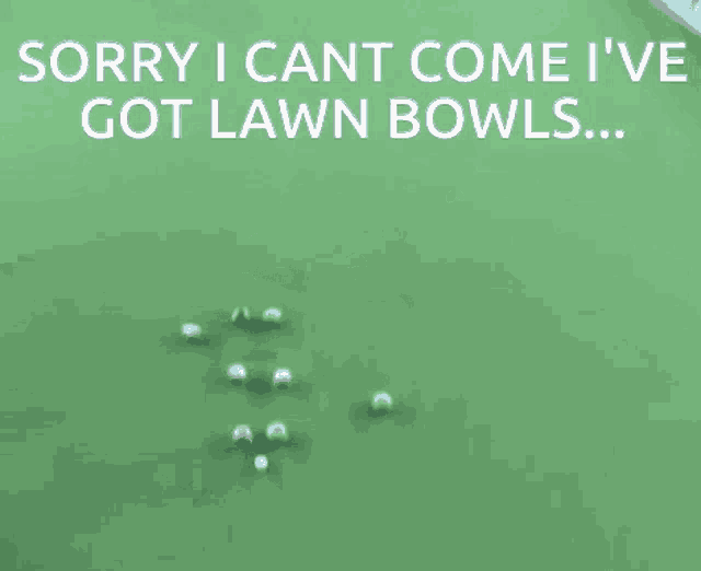 a picture of lawn bowls with a caption that says sorry i cant come i ve got lawn bowls