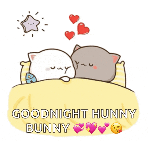 a cartoon of two cats laying in bed with the words goodnight hunny bunny above them
