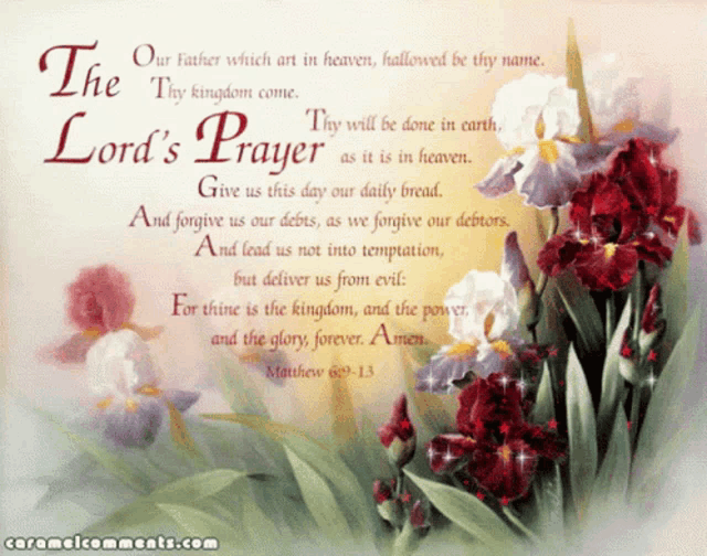 the lord 's prayer is written on a card with flowers in the background
