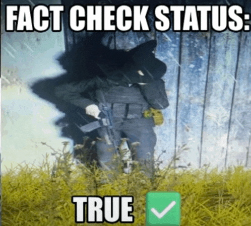 a picture of a man with a gun and the words " fact check status true " below him