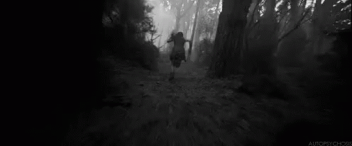 Chase GIF - Chase Run Forest GIFs