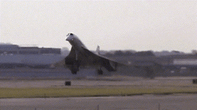 Concorde Plane GIF - Concorde Plane Airplane GIFs