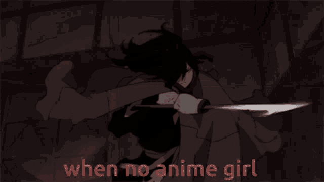 a picture of a girl with the words " when no anime girl " in red