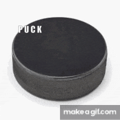 a black ice hockey puck with the word puck written on it