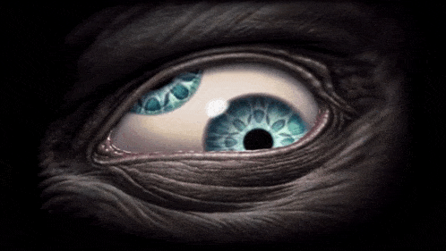 a close up of an eye with two blue eyes