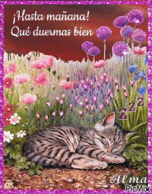 a cat is sleeping in a field of flowers with the words hasta manana que duermas bien written above it