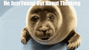 a picture of a seal with the words he just found out about thinking below it
