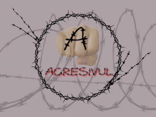 Agresiv GIF - Agresiv GIFs