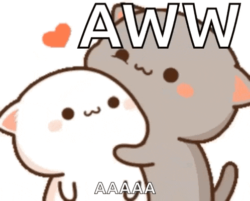 a couple of cartoon cats hugging each other with the words aww aaa written on it