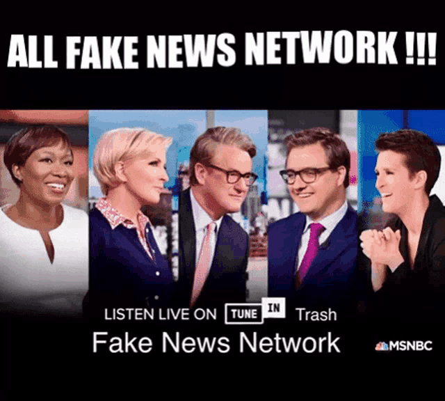 Msnbc All Fake News Network GIF - Msnbc All Fake News Network Smile GIFs
