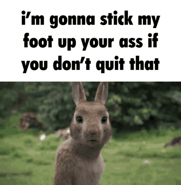 Bunny Angry Bunny GIF - Bunny Angry Bunny Angry Rabbit GIFs