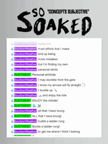 So Soaked Chat GIF - So Soaked Chat Concepts Subjective GIFs