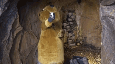 a stuffed animal is standing in a cave holding a piece of paper